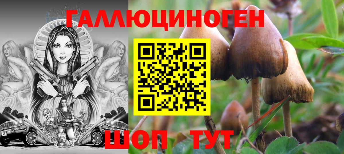 Лабытнанги  Галлюциногенные грибы мухоморы  Вход с VPN 