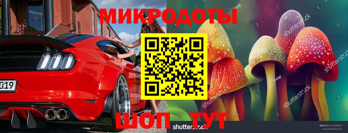 Галлюциногенные грибы Cubensis Лабытнанги